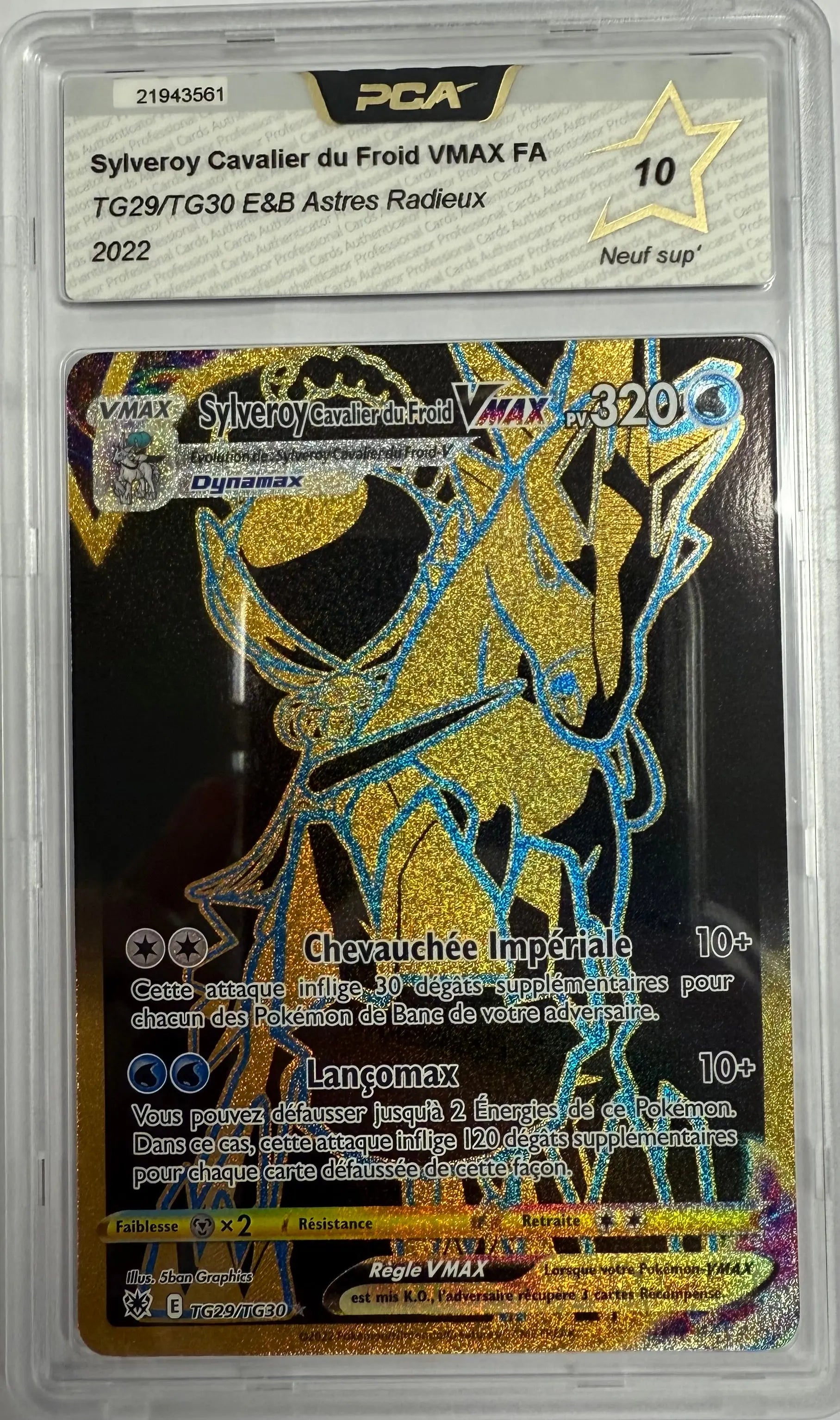 Carte gradée Sylveroy Cavalier du Froid TG29/TG30 (FR) notée PCA10 Holora