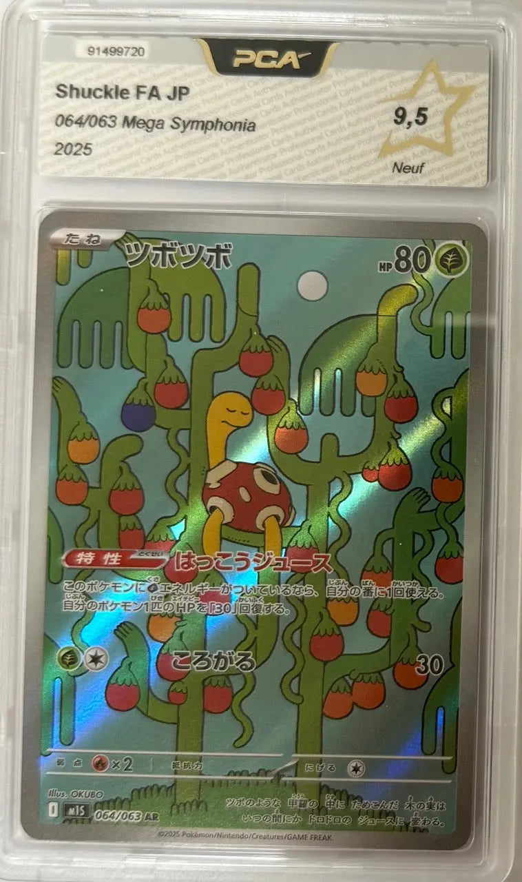 Carte gradée Caratroc / Shuckle 064/063 M1S (JAP) notée PCA9.5 Holora